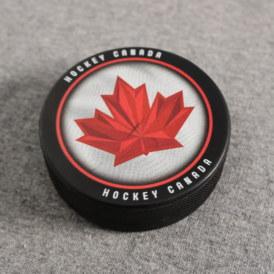 Go Leafs, Go! Four Tickets to 2026-2027 Toronto Maple Leafs Game (YORK FAMILY DONATION)