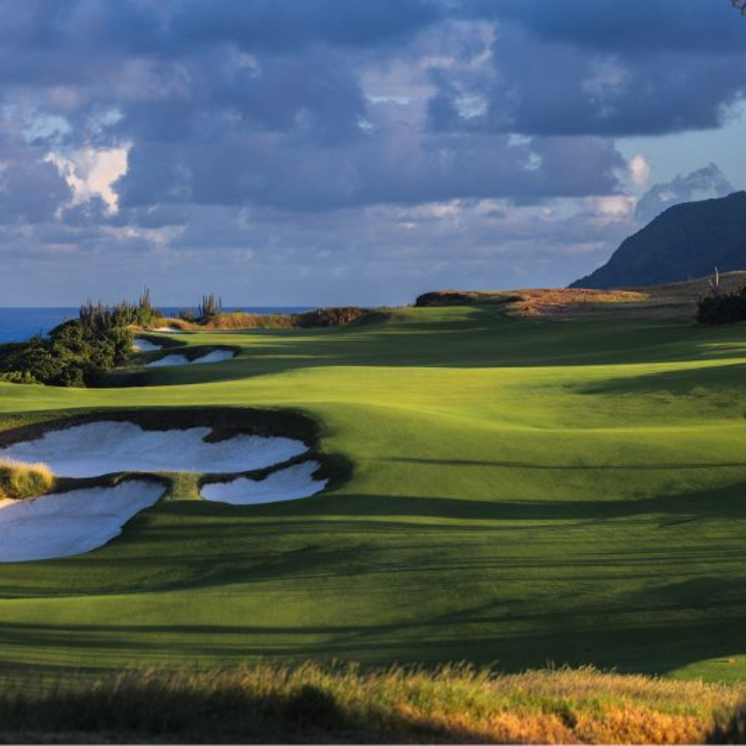 A True Bucket List Round: Members-Only Cabot St. Lucia Golf Foursome (YORK FAMILY DONATION)