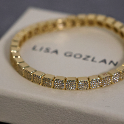 Shine with Lisa Gozlan