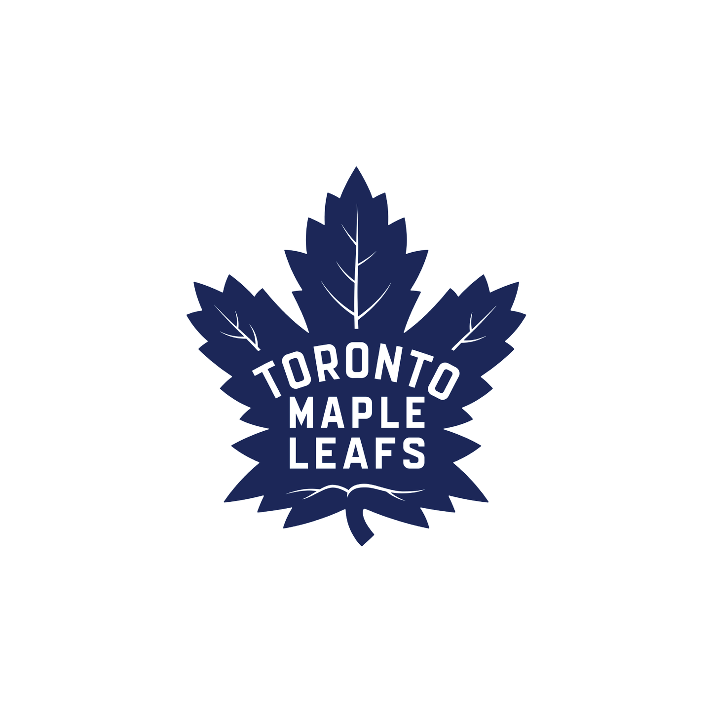 Signed Auston Matthews Jersey (YORK FAMILY DONATION)